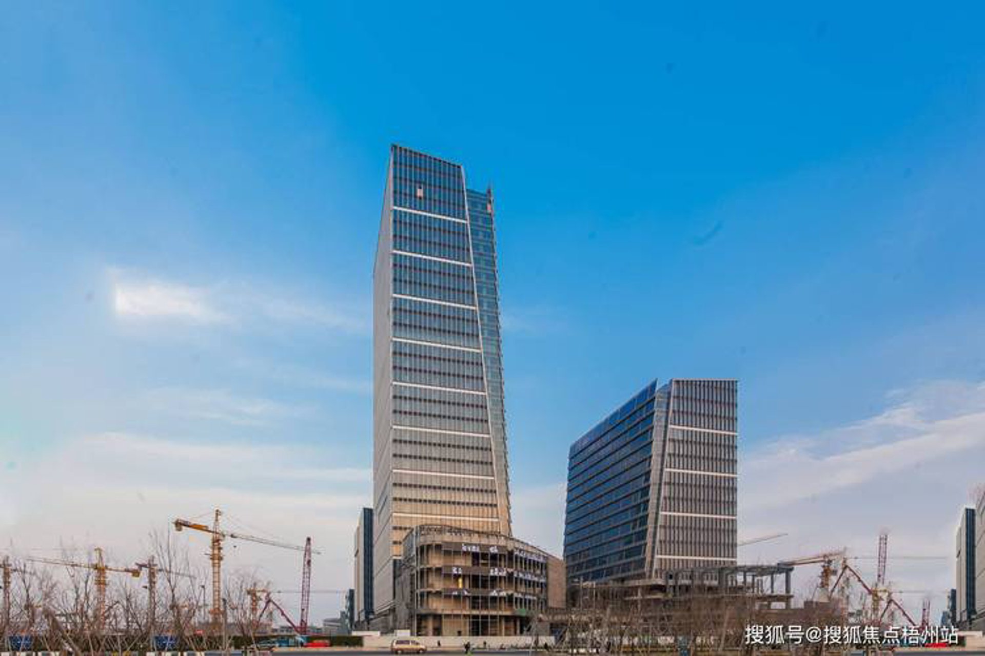 上海梦胺科技